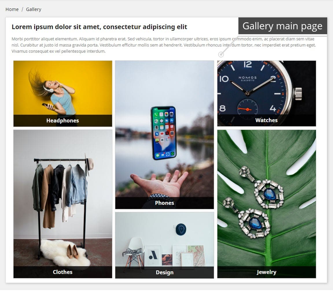 Professional Gallery — Lightbox, SEO & Social Share screenshot 1
