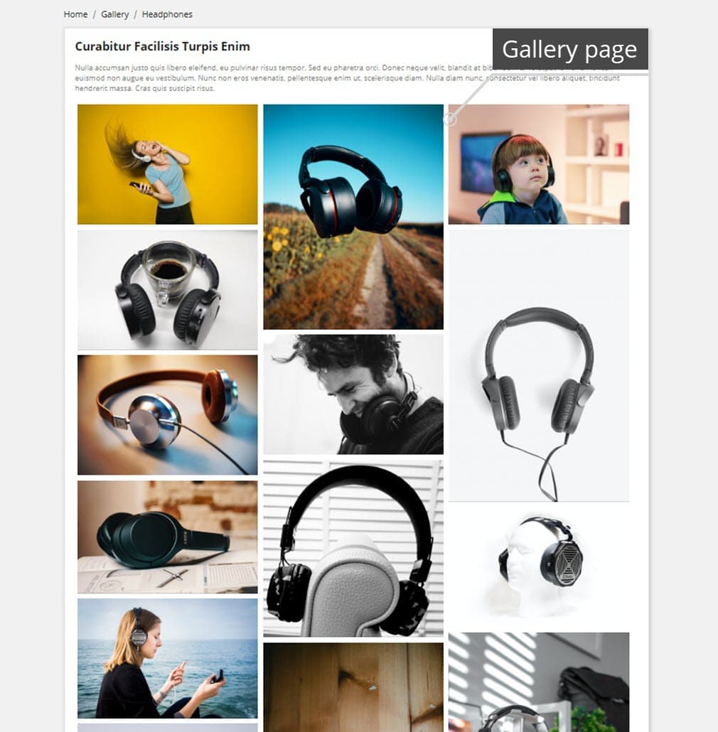 Professional Gallery — Lightbox, SEO & Social Share screenshot 2