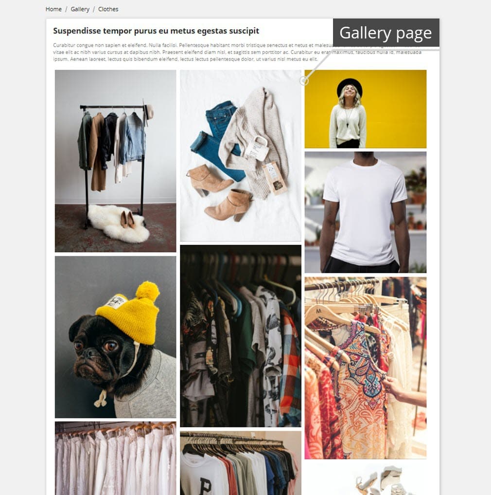 Professional Gallery — Lightbox, SEO & Social Share screenshot 3