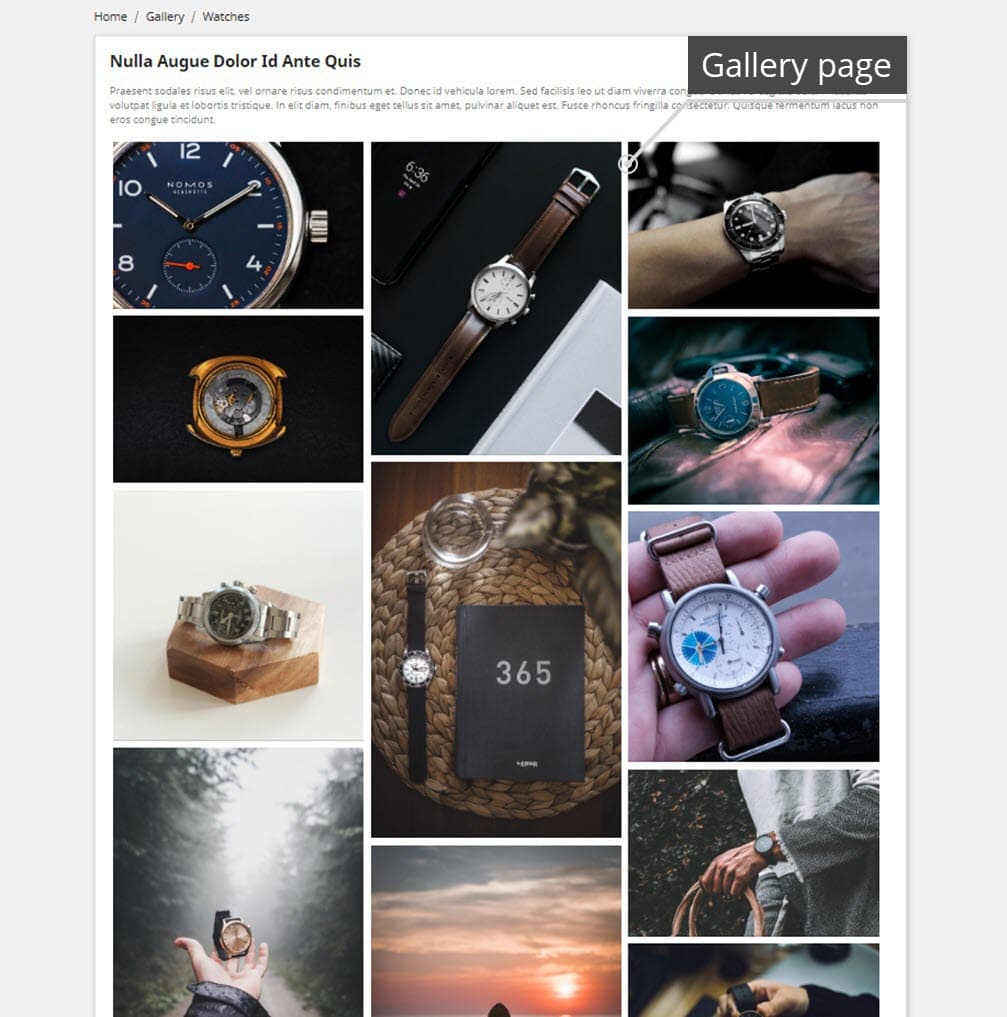 Professional Gallery — Lightbox, SEO & Social Share screenshot 4
