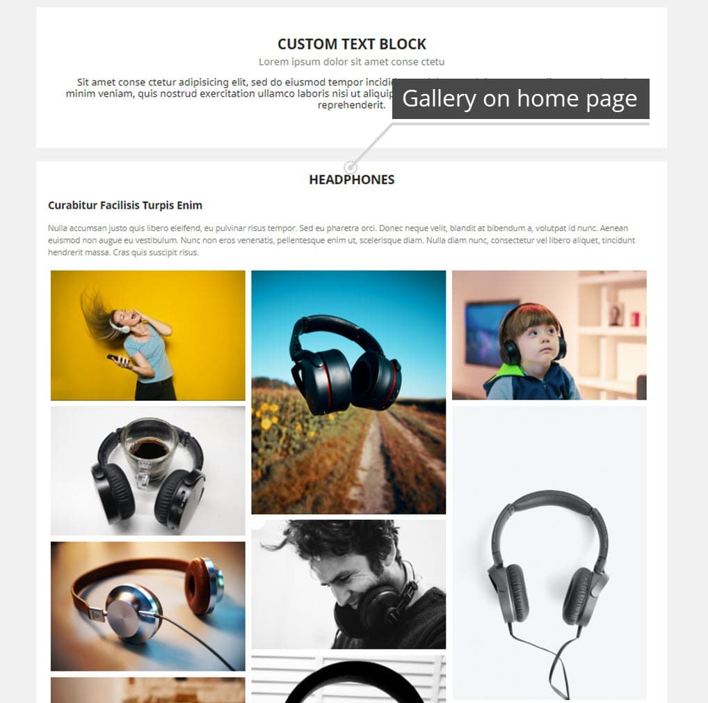 Professional Gallery — Lightbox, SEO & Social Share screenshot 5