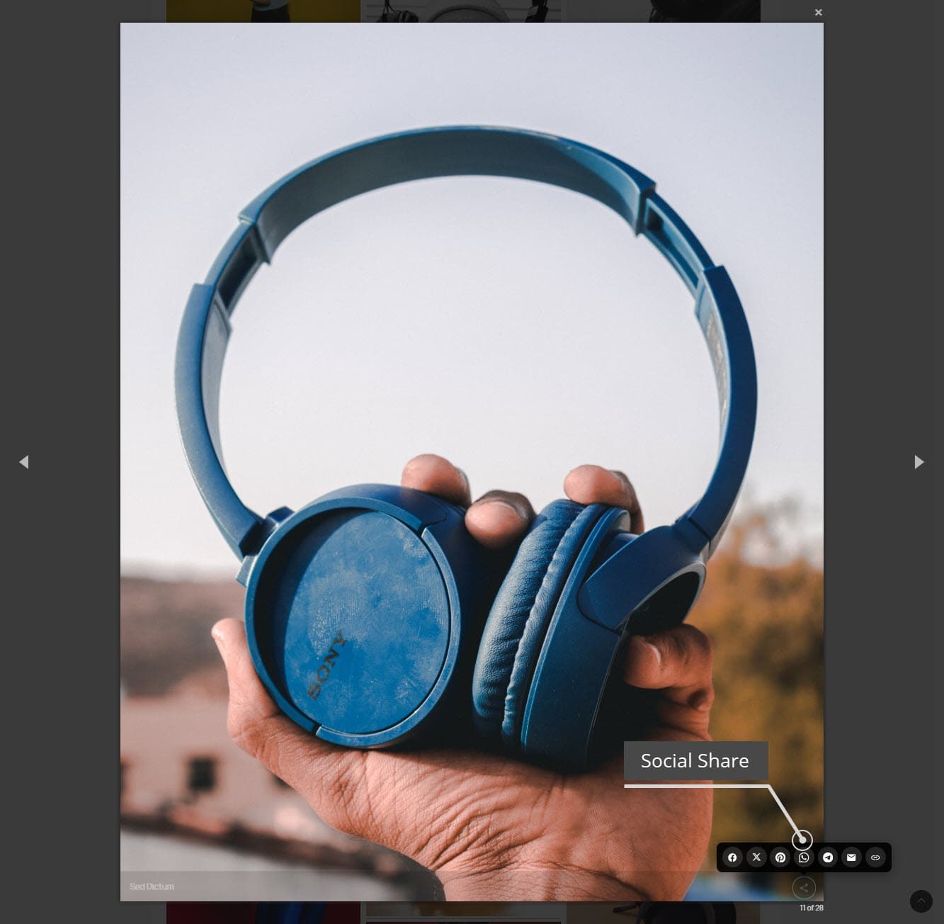 Professional Gallery — Lightbox, SEO & Social Share screenshot 6